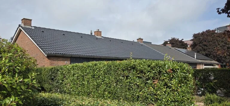 Dakpannen reinigen