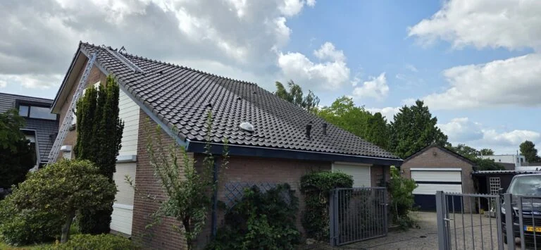 Dakpannen reinigen
